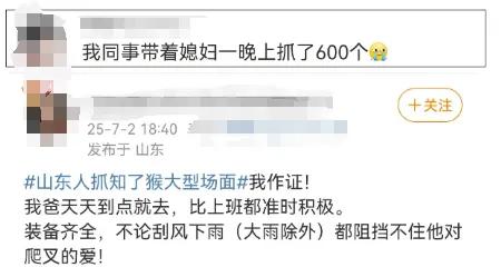 天弘优配 有人一天净赚2000元! 近期大量出现! 不少“神秘人”夜晚出动