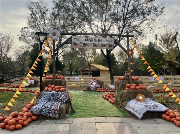 易富配资 第十一届北京农业嘉年华预热：萌宠互动+无动力狂欢，解锁亲子游新玩法